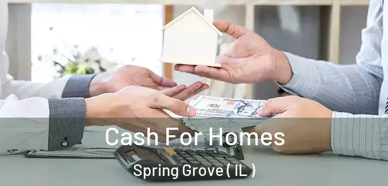 Cash For Homes Spring Grove ( IL )