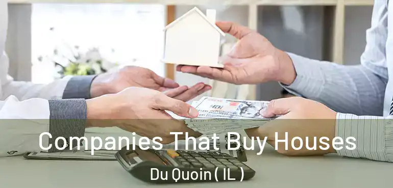  Companies That Buy Houses Du Quoin ( IL )