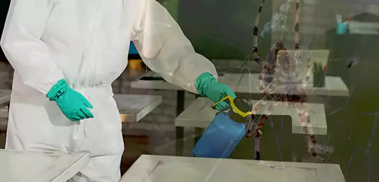 Why Buyers Still Want Homes With Pest Infestations in Illinois, IL?