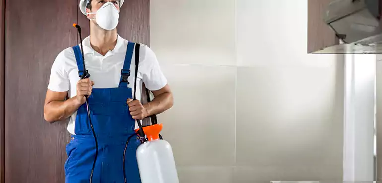 Why Illinois Homeowners Choose Us When Pests Make Selling Difficult