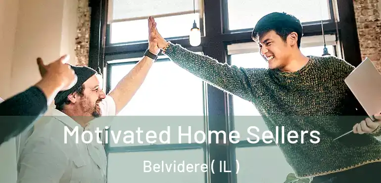  Motivated Home Sellers Belvidere ( IL )