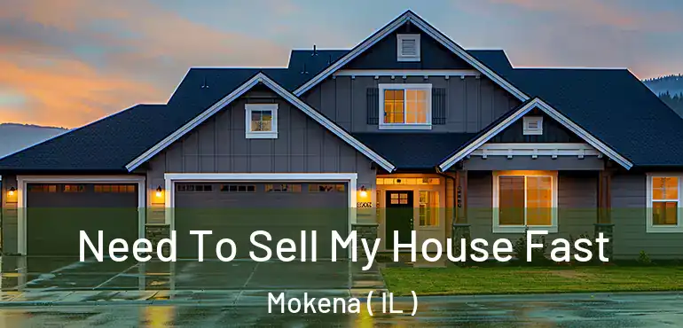  Need To Sell My House Fast Mokena ( IL )