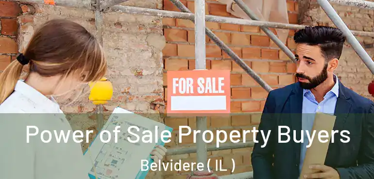  Power of Sale Property Buyers Belvidere ( IL )