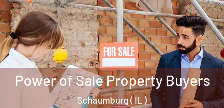  Power of Sale Property Buyers Schaumburg ( IL )