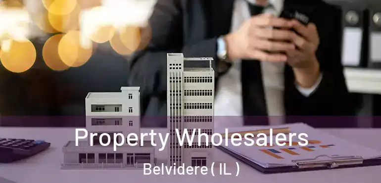  Property Wholesalers Belvidere ( IL )