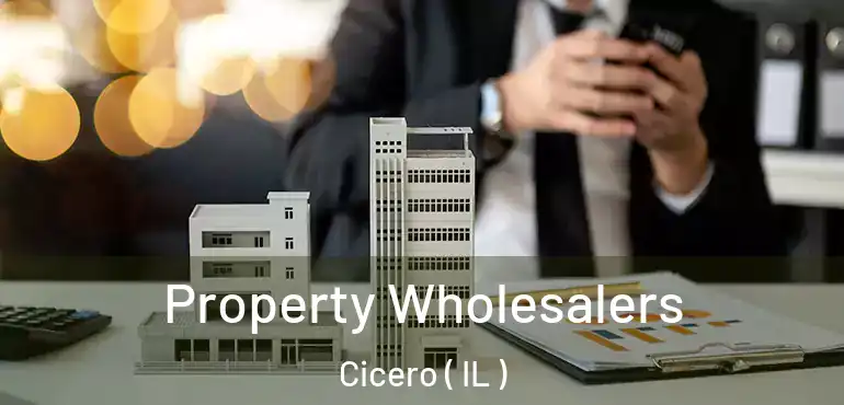 Property Wholesalers Cicero ( IL )