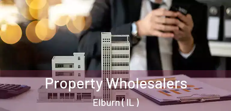  Property Wholesalers Elburn ( IL )