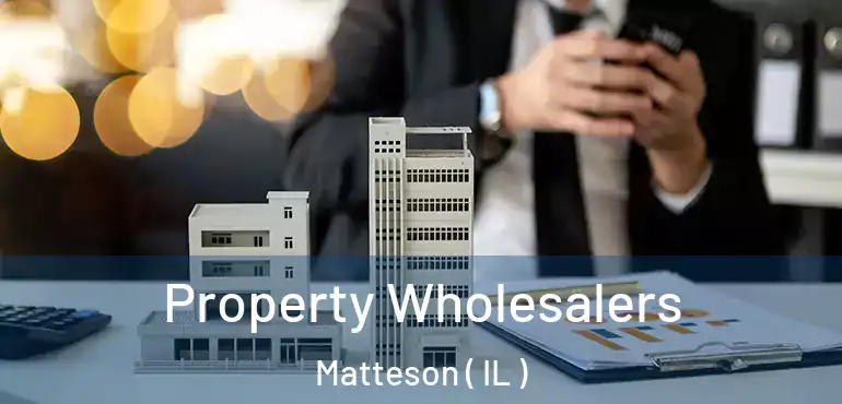  Property Wholesalers Matteson ( IL )