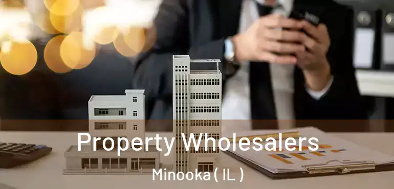  Property Wholesalers Minooka ( IL )