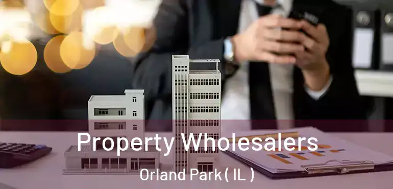  Property Wholesalers Orland Park ( IL )