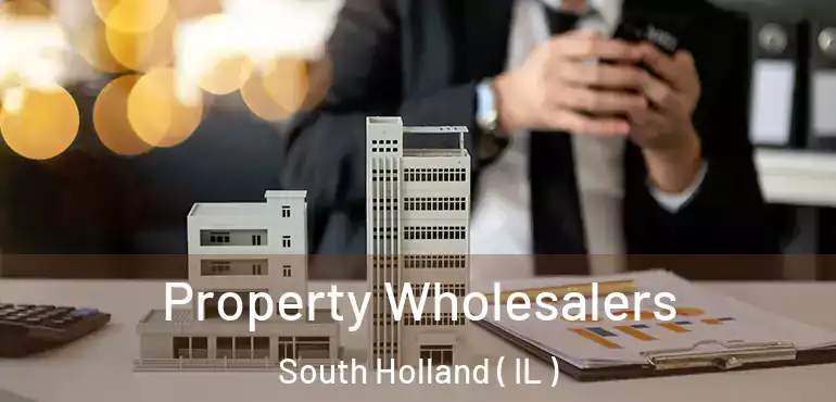  Property Wholesalers South Holland ( IL )