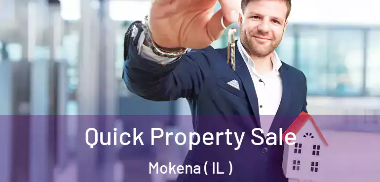  Quick Property Sale Mokena ( IL )