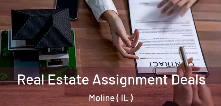  Real Estate Assignment Deals Moline ( IL )