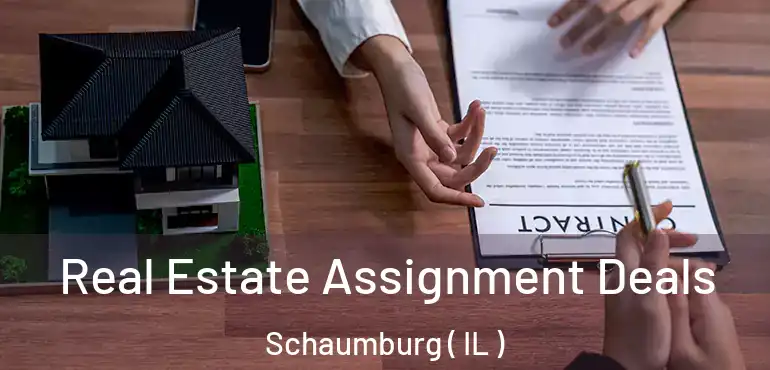 Real Estate Assignment Deals Schaumburg ( IL )