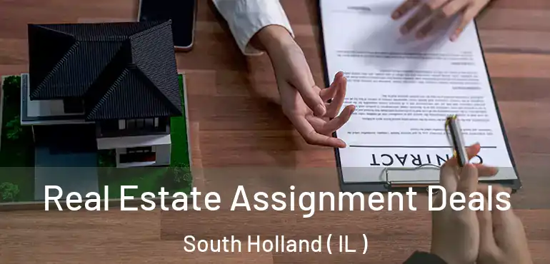  Real Estate Assignment Deals South Holland ( IL )