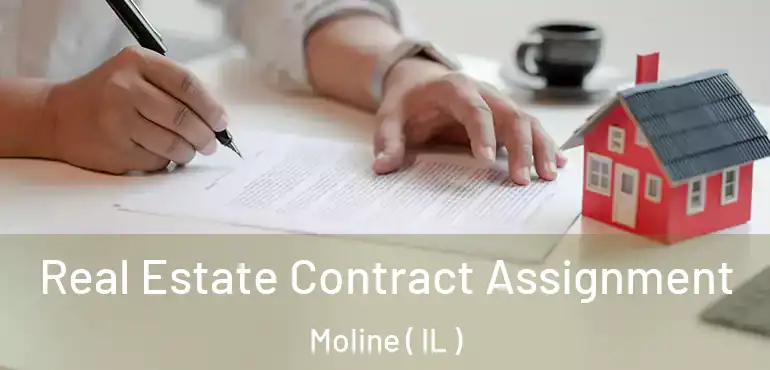  Real Estate Contract Assignment Moline ( IL )
