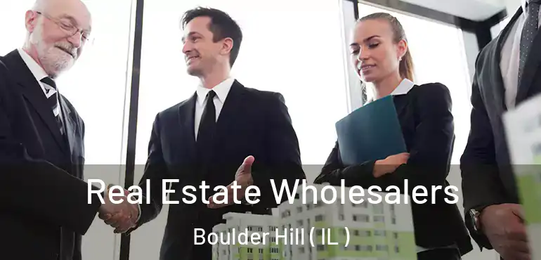  Real Estate Wholesalers Boulder Hill ( IL )