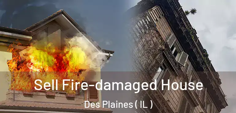  Sell Fire-damaged House Des Plaines ( IL )