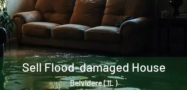  Sell Flood-damaged House Belvidere ( IL )