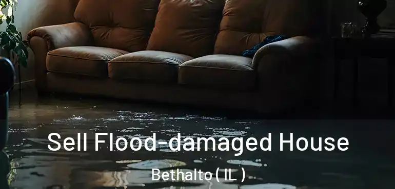  Sell Flood-damaged House Bethalto ( IL )