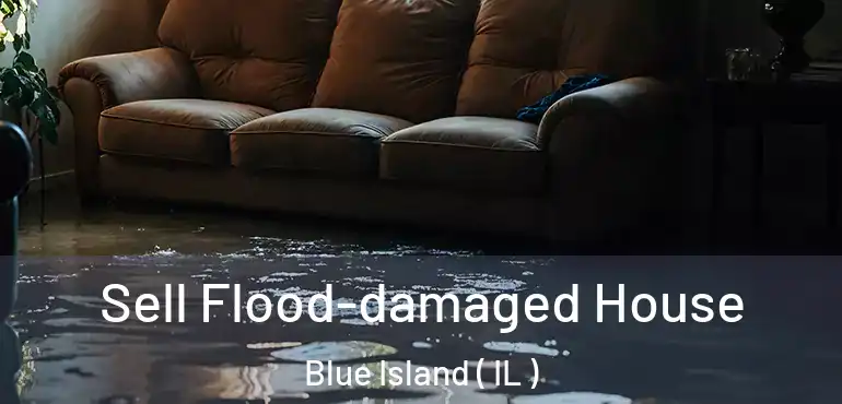  Sell Flood-damaged House Blue Island ( IL )