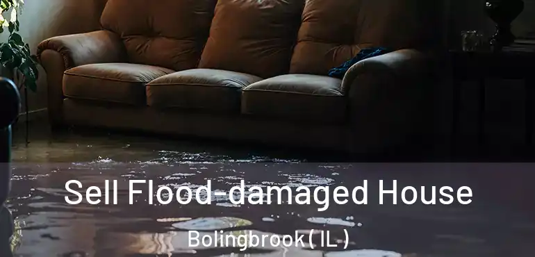  Sell Flood-damaged House Bolingbrook ( IL )