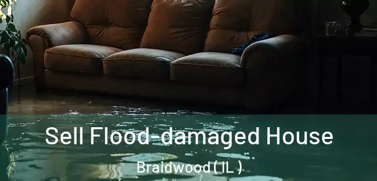  Sell Flood-damaged House Braidwood ( IL )