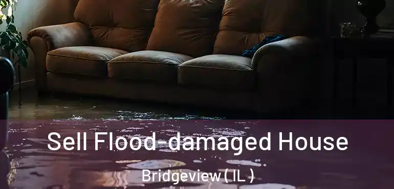  Sell Flood-damaged House Bridgeview ( IL )
