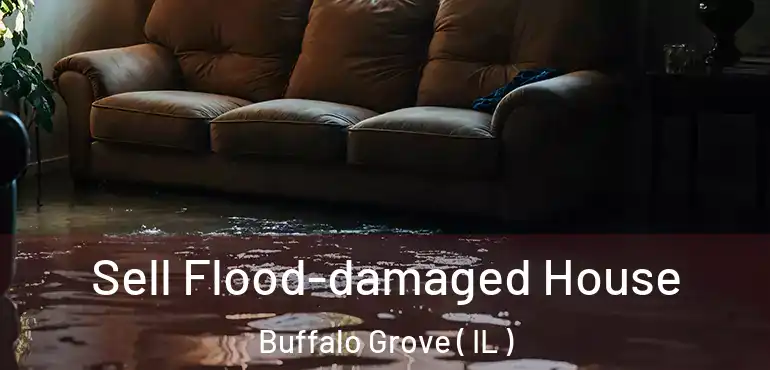  Sell Flood-damaged House Buffalo Grove ( IL )
