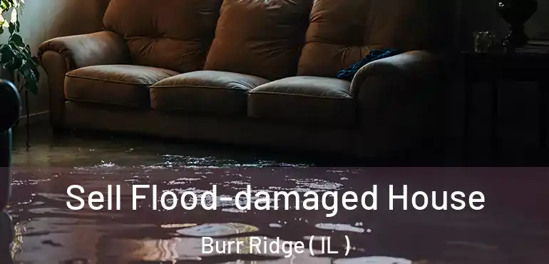  Sell Flood-damaged House Burr Ridge ( IL )