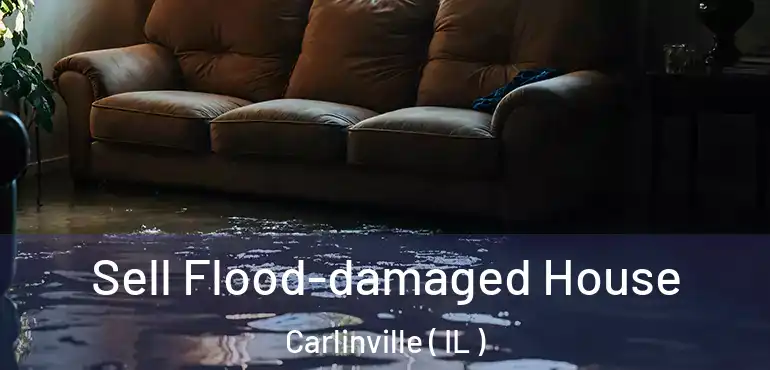  Sell Flood-damaged House Carlinville ( IL )