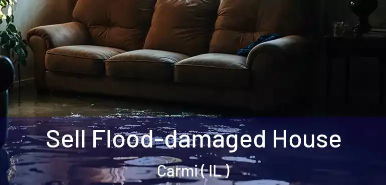  Sell Flood-damaged House Carmi ( IL )