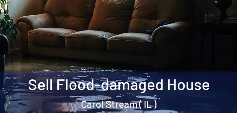  Sell Flood-damaged House Carol Stream ( IL )