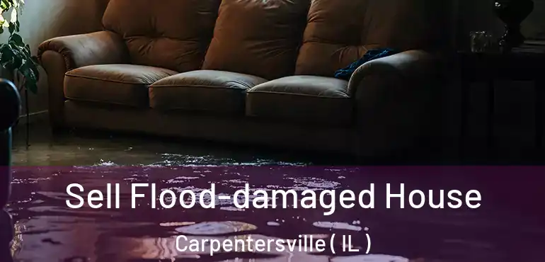  Sell Flood-damaged House Carpentersville ( IL )