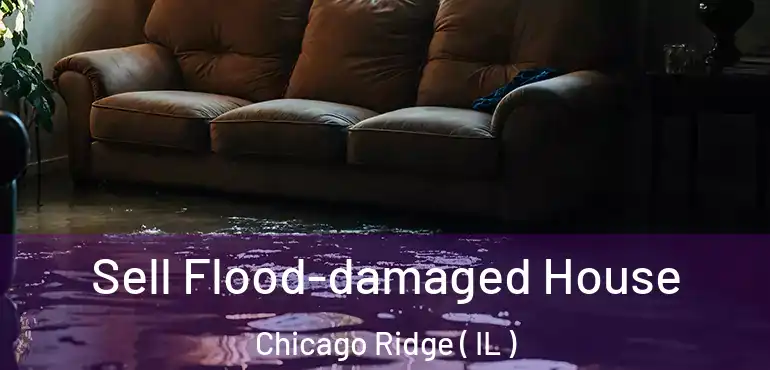  Sell Flood-damaged House Chicago Ridge ( IL )