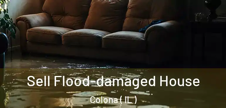 Sell Flood-damaged House Colona ( IL )