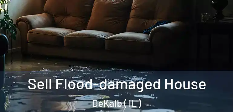  Sell Flood-damaged House DeKalb ( IL )