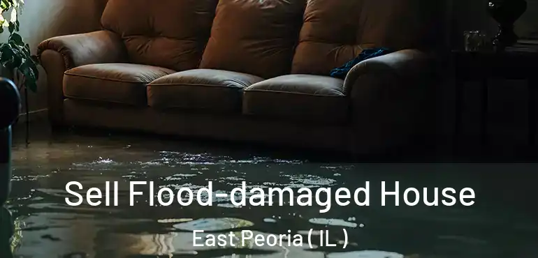  Sell Flood-damaged House East Peoria ( IL )