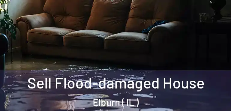  Sell Flood-damaged House Elburn ( IL )