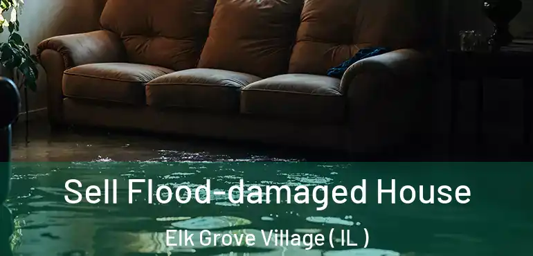  Sell Flood-damaged House Elk Grove Village ( IL )