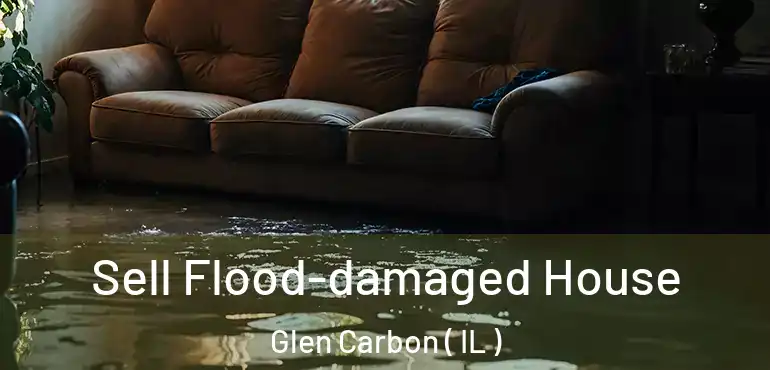  Sell Flood-damaged House Glen Carbon ( IL )