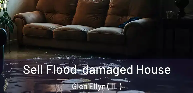  Sell Flood-damaged House Glen Ellyn ( IL )