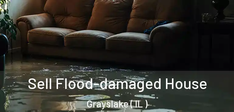  Sell Flood-damaged House Grayslake ( IL )