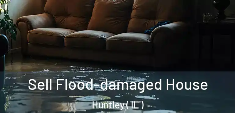  Sell Flood-damaged House Huntley ( IL )