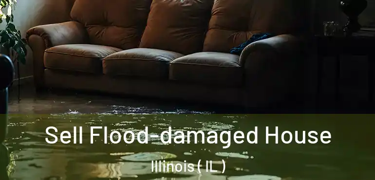  Sell Flood-damaged House Illinois ( IL )