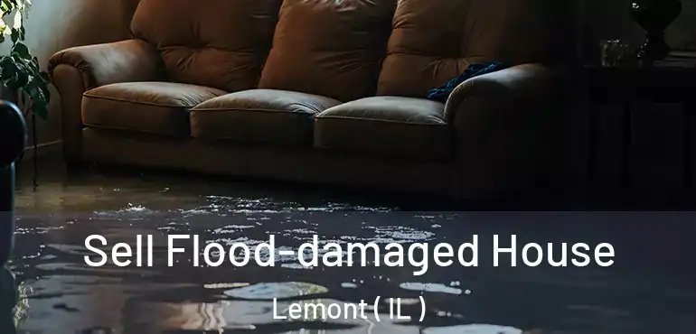  Sell Flood-damaged House Lemont ( IL )