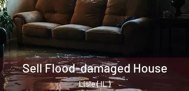  Sell Flood-damaged House Lisle ( IL )
