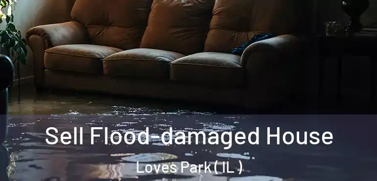  Sell Flood-damaged House Loves Park ( IL )