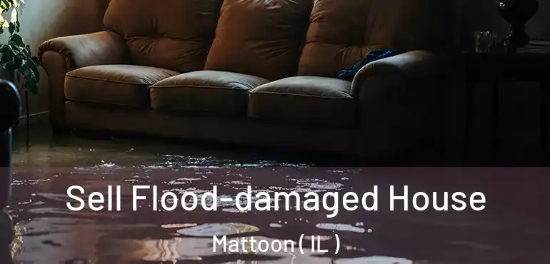  Sell Flood-damaged House Mattoon ( IL )