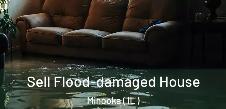  Sell Flood-damaged House Minooka ( IL )